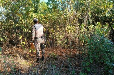 Imagem da notícia Trabalho conjunto entre Governo de MS e Ministério Público apura no Pantanal